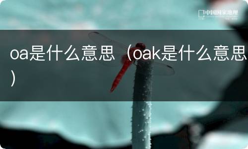 oa是什么意思（oak是什么意思）