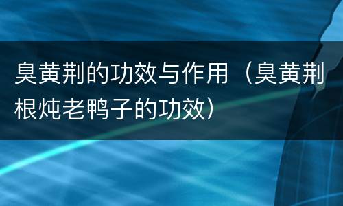 臭黄荆的功效与作用（臭黄荆根炖老鸭子的功效）