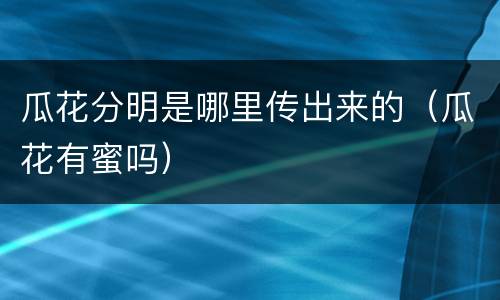 瓜花分明是哪里传出来的（瓜花有蜜吗）