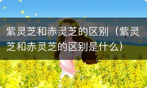 紫灵芝和赤灵芝的区别（紫灵芝和赤灵芝的区别是什么）