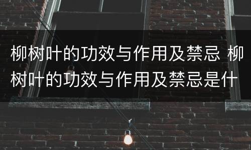 柳树叶的功效与作用及禁忌 柳树叶的功效与作用及禁忌是什么