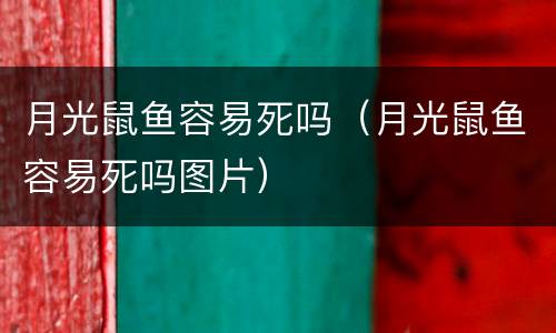 月光鼠鱼容易死吗（月光鼠鱼容易死吗图片）