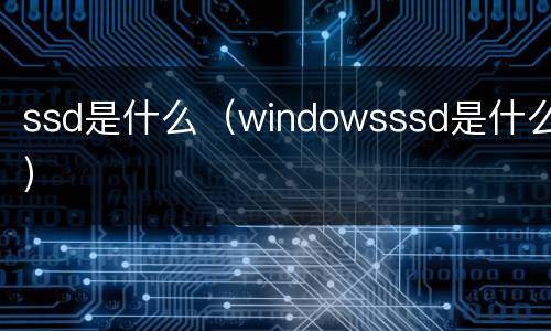 ssd是什么（windowsssd是什么）