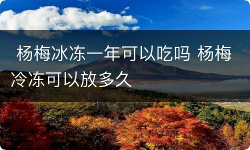  杨梅冰冻一年可以吃吗 杨梅冷冻可以放多久