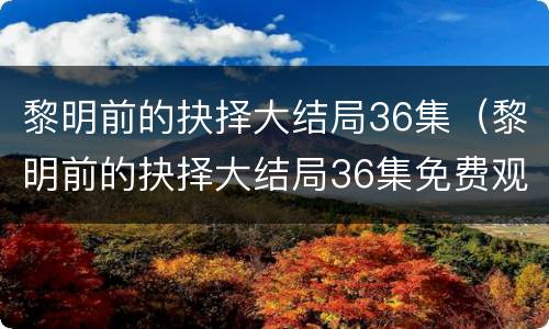 黎明前的抉择大结局36集（黎明前的抉择大结局36集免费观看）