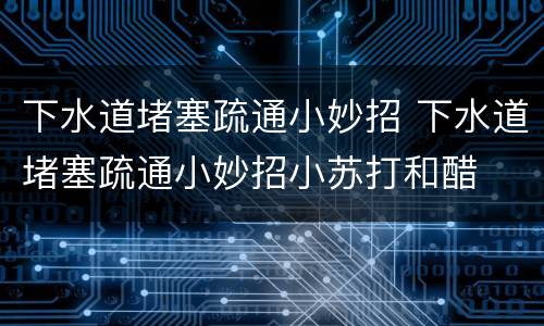 下水道堵塞疏通小妙招 下水道堵塞疏通小妙招小苏打和醋