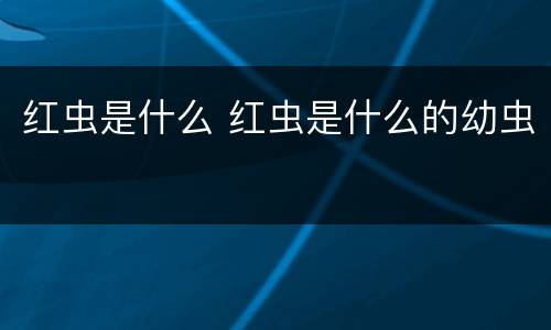 红虫是什么 红虫是什么的幼虫