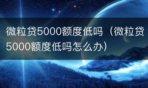 微粒贷5000额度低吗（微粒贷5000额度低吗怎么办）