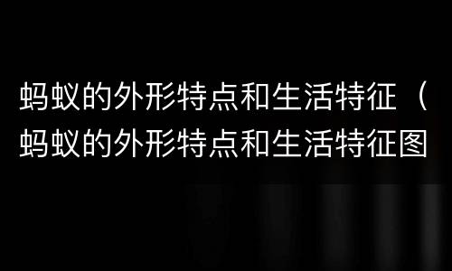 蚂蚁的外形特点和生活特征（蚂蚁的外形特点和生活特征图片）