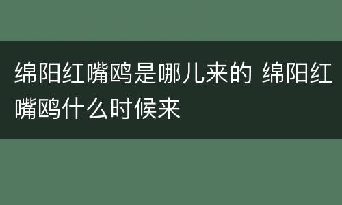 绵阳红嘴鸥是哪儿来的 绵阳红嘴鸥什么时候来