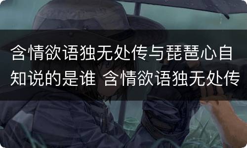 含情欲语独无处传与琵琶心自知说的是谁 含情欲语独无处传与琵琶心自知写的什么人