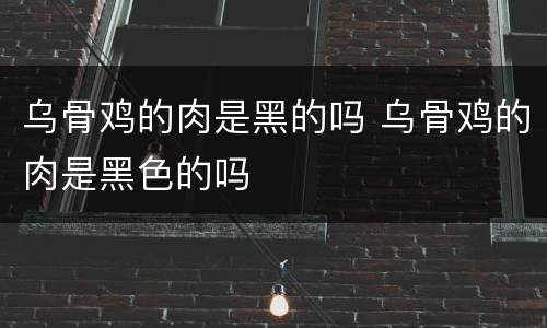 乌骨鸡的肉是黑的吗 乌骨鸡的肉是黑色的吗