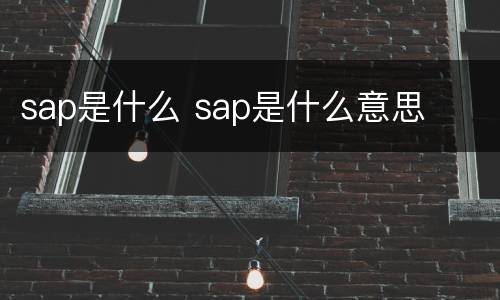 sap是什么 sap是什么意思