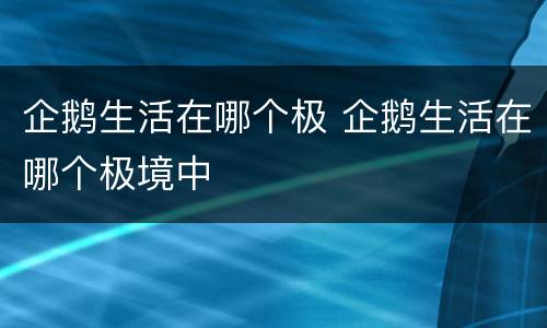 企鹅生活在哪个极 企鹅生活在哪个极境中