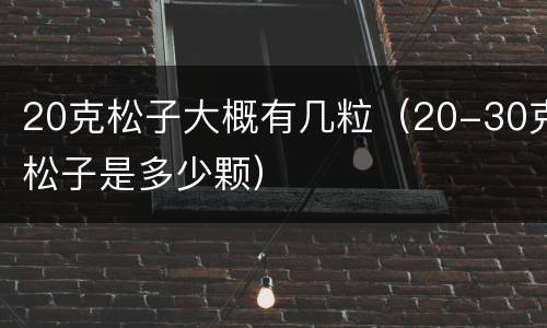 20克松子大概有几粒（20-30克松子是多少颗）