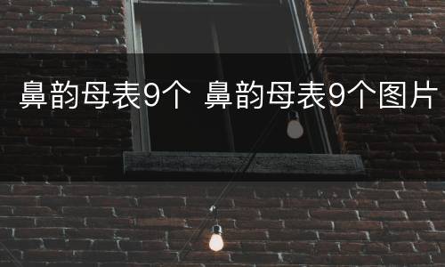 鼻韵母表9个 鼻韵母表9个图片