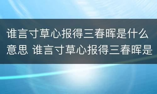 谁言寸草心报得三春晖是什么意思 谁言寸草心报得三春晖是什么意思?