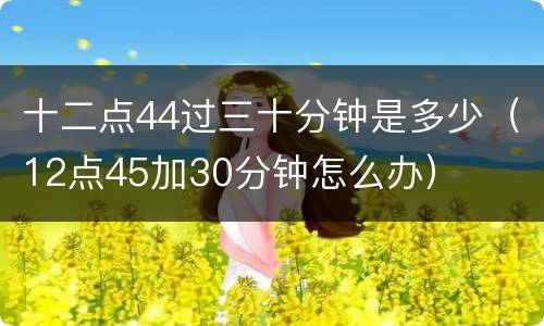 十二点44过三十分钟是多少（12点45加30分钟怎么办）