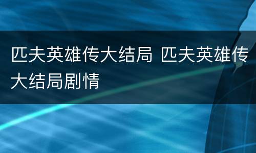 匹夫英雄传大结局 匹夫英雄传大结局剧情