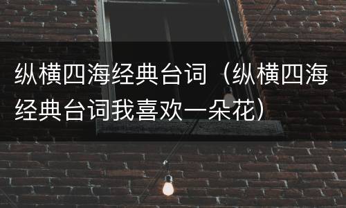 纵横四海经典台词（纵横四海经典台词我喜欢一朵花）