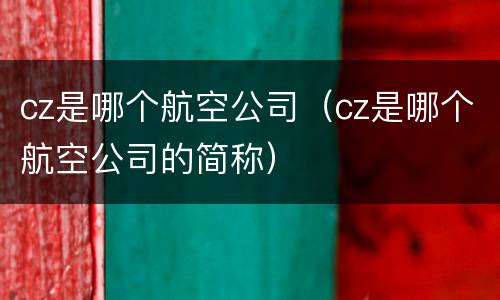 cz是哪个航空公司（cz是哪个航空公司的简称）