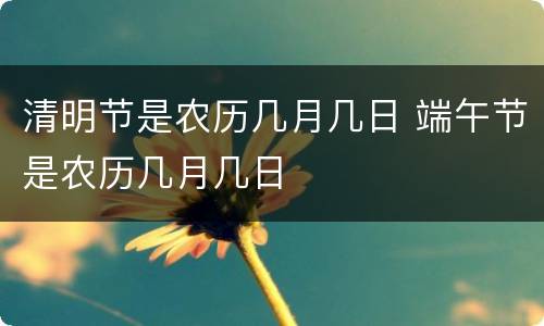 清明节是农历几月几日 端午节是农历几月几日