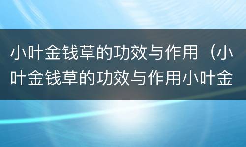 小叶金钱草的功效与作用（小叶金钱草的功效与作用小叶金钱草的归经）