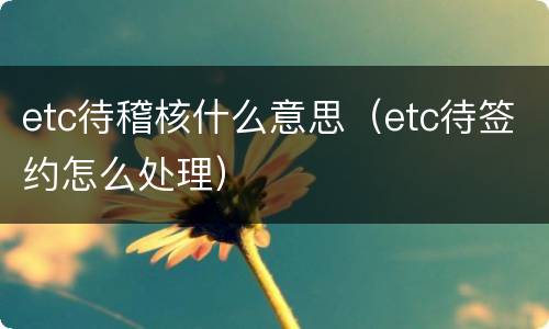 etc待稽核什么意思（etc待签约怎么处理）