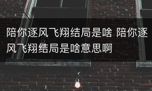 陪你逐风飞翔结局是啥 陪你逐风飞翔结局是啥意思啊