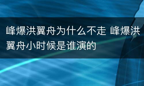 峰爆洪翼舟为什么不走 峰爆洪翼舟小时候是谁演的