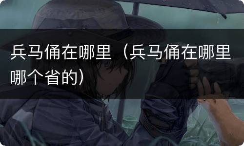 兵马俑在哪里（兵马俑在哪里哪个省的）