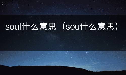 soul什么意思（sou什么意思）