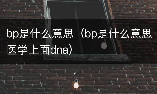 bp是什么意思（bp是什么意思医学上面dna）