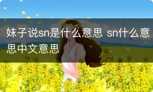 妹子说sn是什么意思 sn什么意思中文意思