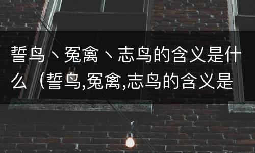 誓鸟丶冤禽丶志鸟的含义是什么（誓鸟,冤禽,志鸟的含义是什么）