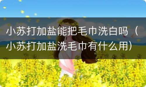 小苏打加盐能把毛巾洗白吗（小苏打加盐洗毛巾有什么用）