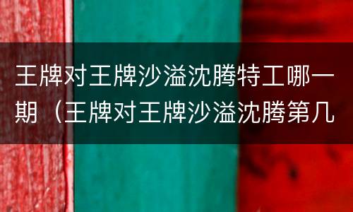 王牌对王牌沙溢沈腾特工哪一期（王牌对王牌沙溢沈腾第几期）