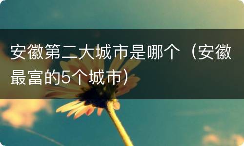 安徽第二大城市是哪个（安徽最富的5个城市）