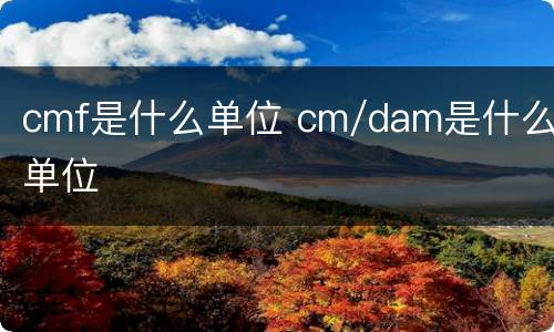 cmf是什么单位 cm/dam是什么单位