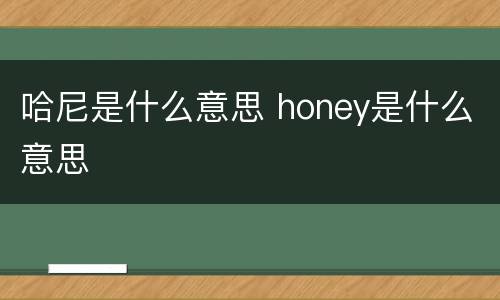 哈尼是什么意思 honey是什么意思