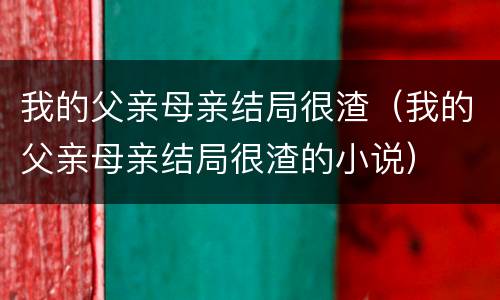 我的父亲母亲结局很渣（我的父亲母亲结局很渣的小说）