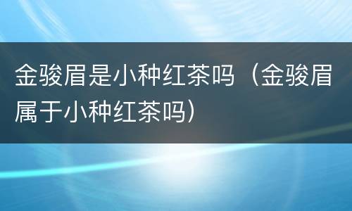 金骏眉是小种红茶吗（金骏眉属于小种红茶吗）