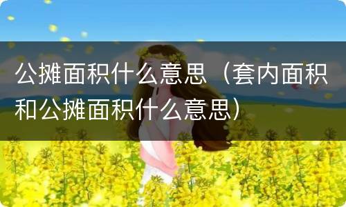 公摊面积什么意思（套内面积和公摊面积什么意思）