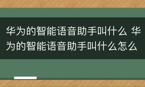 华为的智能语音助手叫什么 华为的智能语音助手叫什么怎么开