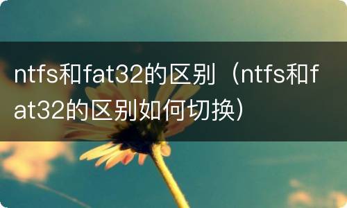 ntfs和fat32的区别（ntfs和fat32的区别如何切换）