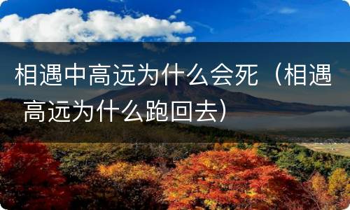 相遇中高远为什么会死（相遇 高远为什么跑回去）