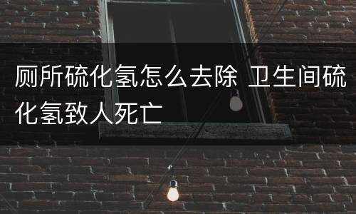 厕所硫化氢怎么去除 卫生间硫化氢致人死亡