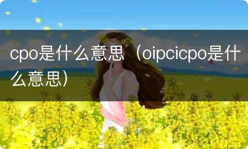 cpo是什么意思（oipcicpo是什么意思）