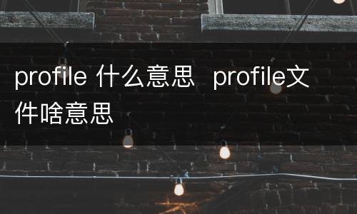 profile 什么意思  profile文件啥意思