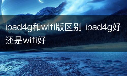 ipad4g和wifi版区别 ipad4g好还是wifi好